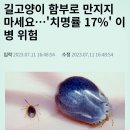 🦊길'고양이가 퍼뜨리는 질병에 대하여". ⚠️길' 고양이에게 물려 팔이 퉁퉁부었다.⚠️미국:CDC(새로운 감염박테리아 발견) 이미지