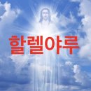 토비동물병원 | 2월이 이렇게 길었던적이 있었나
