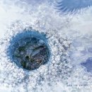 산천송어 이미지