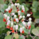 예당한의원 이미지