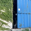 종달새 노래할 때 이미지