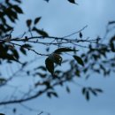 나주영산포철도공원 이미지