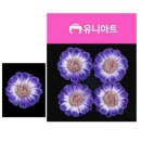 보라초등학교 이미지