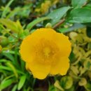 살아있는 글쓰기 이미지