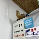 개미 | ✨대구 중구 동성로 교동 분식 맛집 &#39;개미분식&#39; 후기✨
