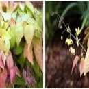 삼지목장 이미지