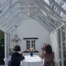 파도마을 삼냥이네 이미지