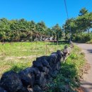 고마운행정사 이미지