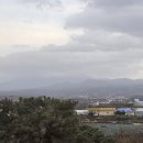 에코그린리조트 | [제주 숙소 추천] 겨울에도 온수풀 가능! 가성비 끝판왕 '에코그린리조트' 솔직 후기 (룸컨디션/조식/주차)