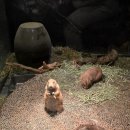 키즈히어로 어린이집 | [육아] 청주 용암동 키즈카페 히어로플레이파크 청주점 후기(feat. 청주 실내놀이터)