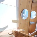 캣살롱코코 이미지