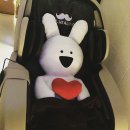 (주)미스터케어 이미지