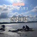 수선화펜션가족단체독채갯벌체험 이미지