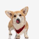 김성훈농장 이미지