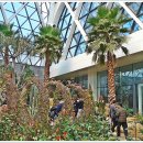 서울화원 이미지