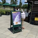 주식회사 비에이렌탈 | 6월 삿포로 3박4일 3일차! (6월 중순 비에이 투어, 삿포로 지진, 다루마4.4)