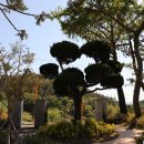 화태초등학교 이미지