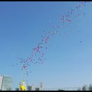 숲속다원유치원 이미지