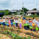 마루 유치원 이미지