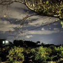 드랑드랑 이미지