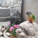 (주)본궁 이미지