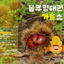 산마루 태권도장 이미지