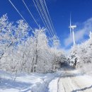 물빛정원펜션 이미지