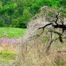 문촌1리 이미지