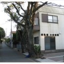 오승도장 이미지