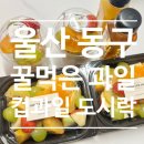 꿀먹은과일