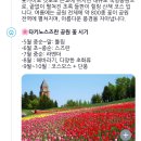 국영 | 북해도 치토세 수제소바정식 맛집 / 타키노스즈란 국영공원 솔직후기