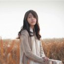 박란 카카오 검색결과