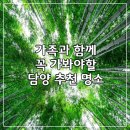 용소숲속민박 | 담양 가볼만한곳 12곳: 푸른 대나무 숲길 따라, 담양에서 만나는 힐링 여행지
