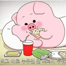 내가 돼지라니 이미지