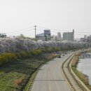 사직2동-18 이미지