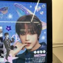 *⁀➷♥ 2025 해찬 부산 생카 투어 후기