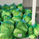 영덕군푸드뱅크 이미지