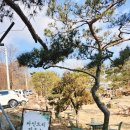 마루아라 하우스 이미지