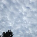종합운동장 족구장 | [울산 중구 운동하기 좋은 곳 / 울산 족구장 추천] 울산종합운동장족구장에 족구를 하러 방문해보다