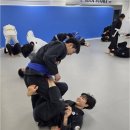 화랑체육도장 네이버블로그