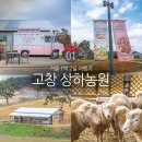 만발목장 | 겨울 1박2일 여행지 12월 국내 여행지 추천 고창 상하 농원 목장