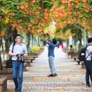 부천중앙공원 이미지