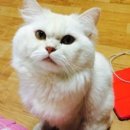 해뜸이야기 이미지