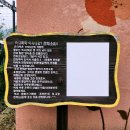 전의재래시장 이미지