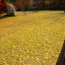 금광농원 이미지