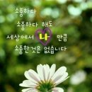 샬롬헤어샵 - 성북구 | 샬롬헤어샵