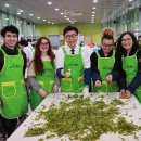 보성공설운동장 이미지