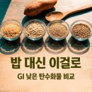 GI 낮은 탄수화물, 밥 대신 뭘 먹어야 할까