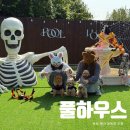 애견풀하우스 이미지