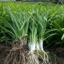 사선농장 이미지